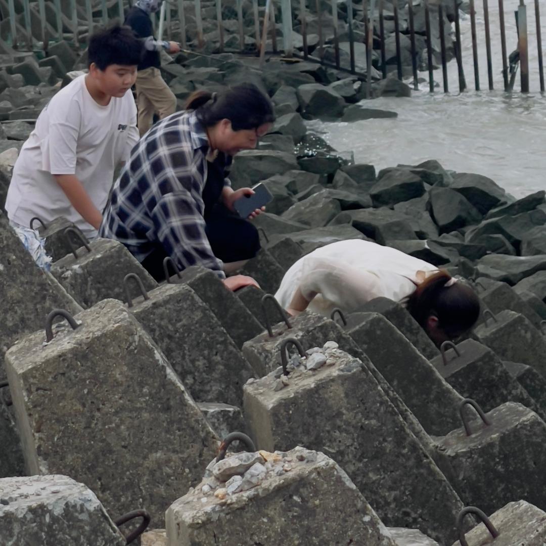 大梅子