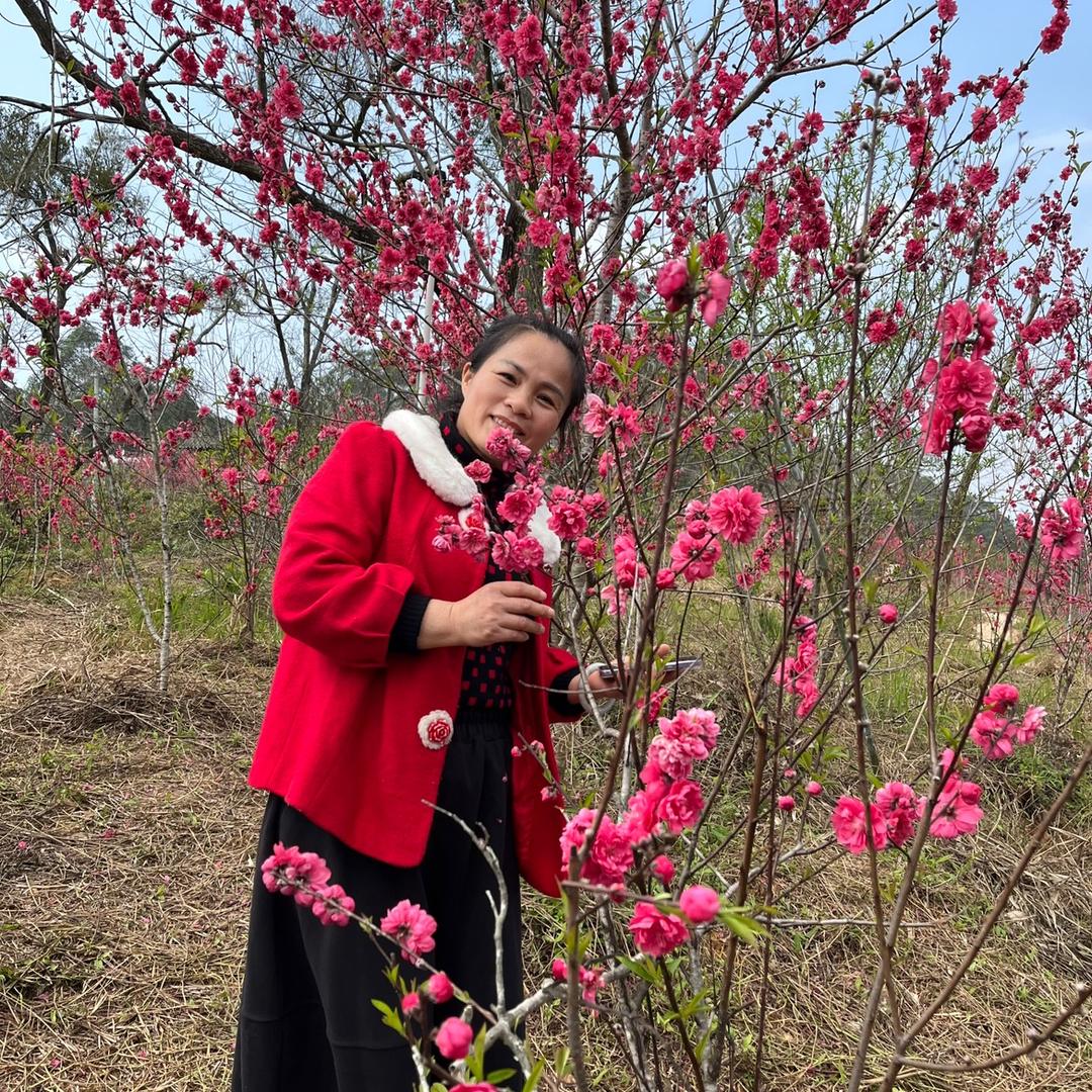 韦家三姐——潘家老五