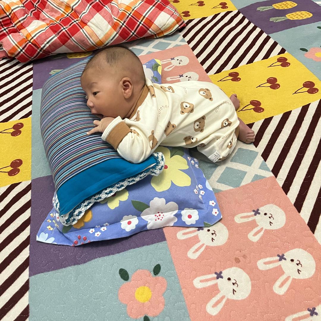 多米生活日记