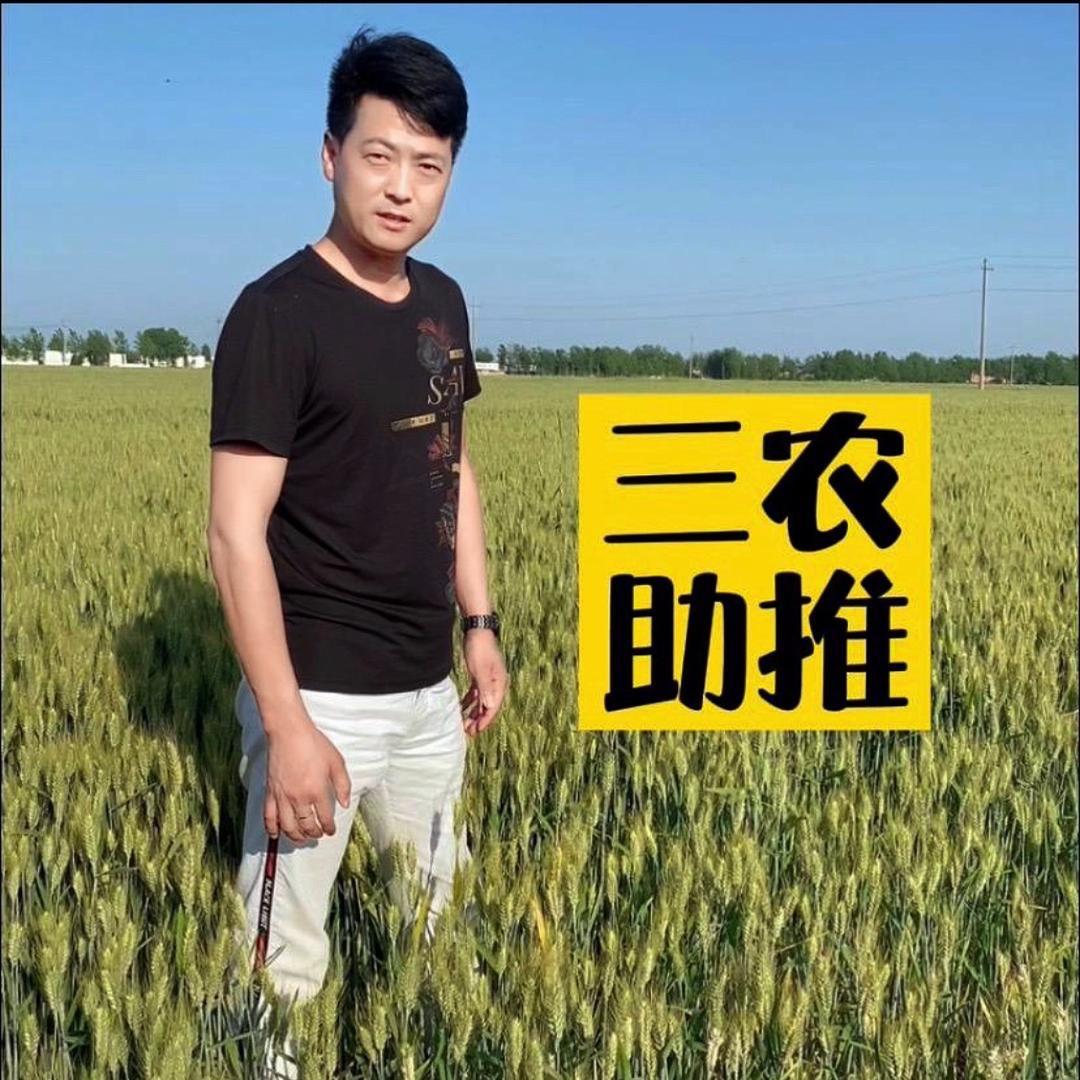 余少@农业
