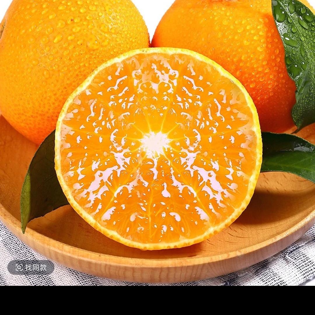 🍊蜀道山爱媛果冻橙