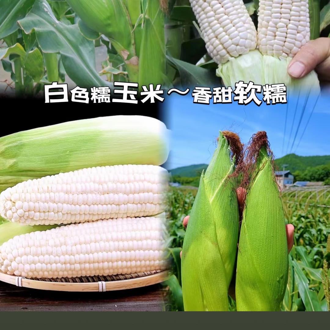 建映农业臻选