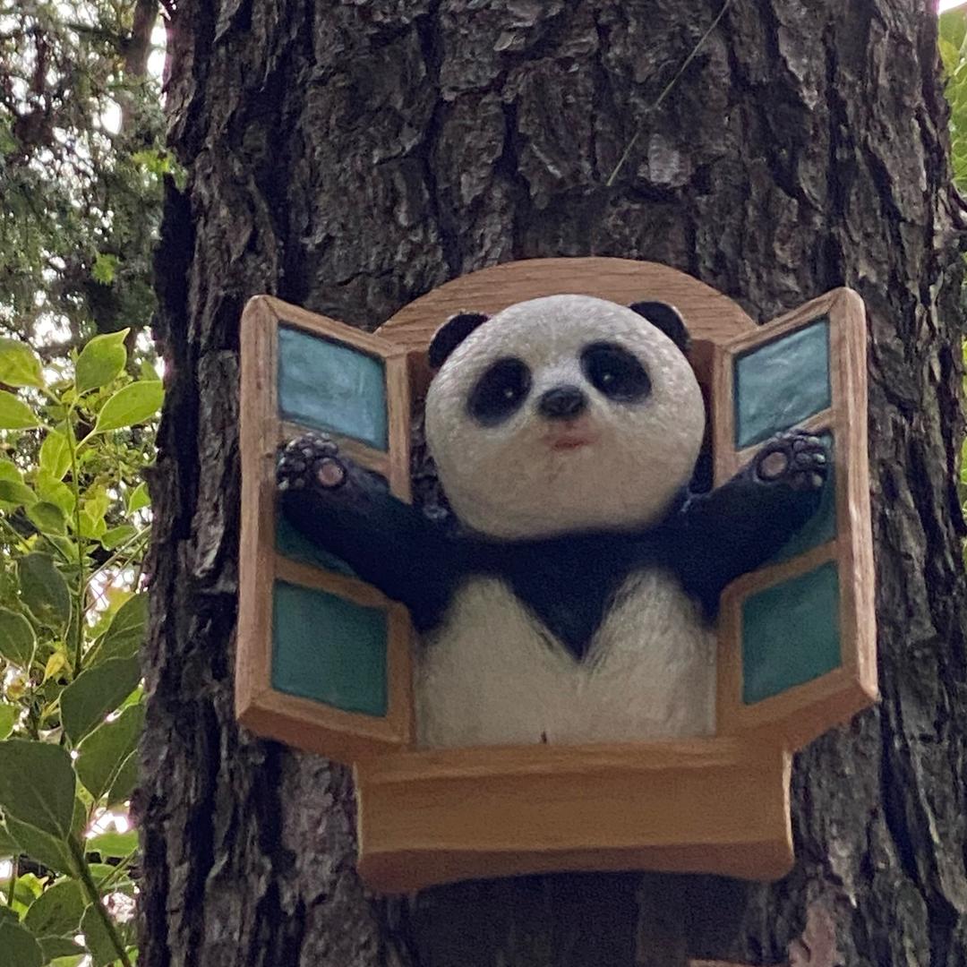 发财树🌳