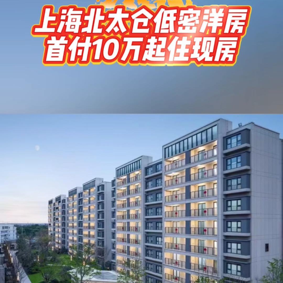 上海大旗地产
