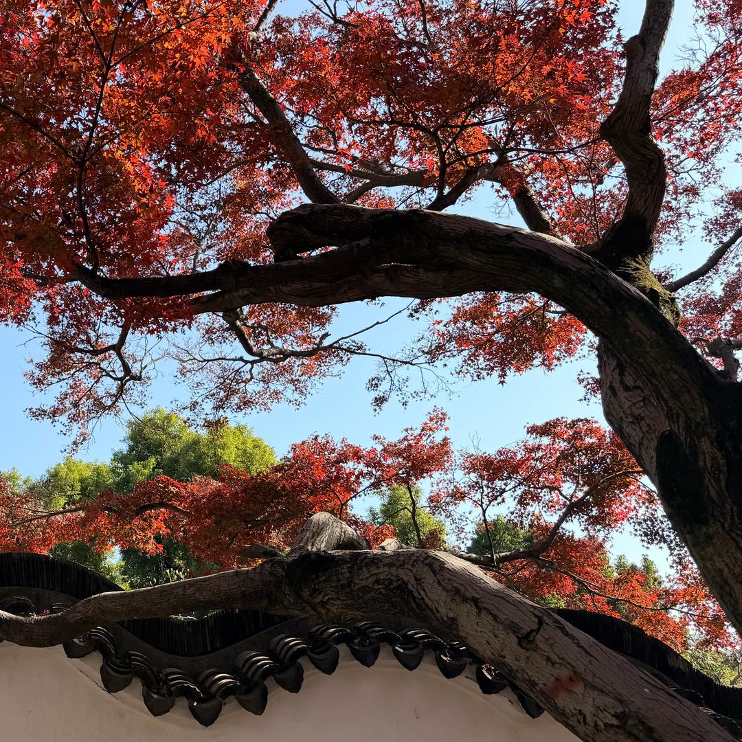 刘桂花