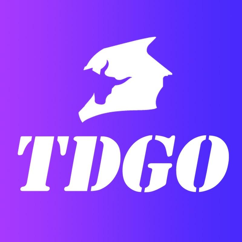 tdgo两轮机车装备