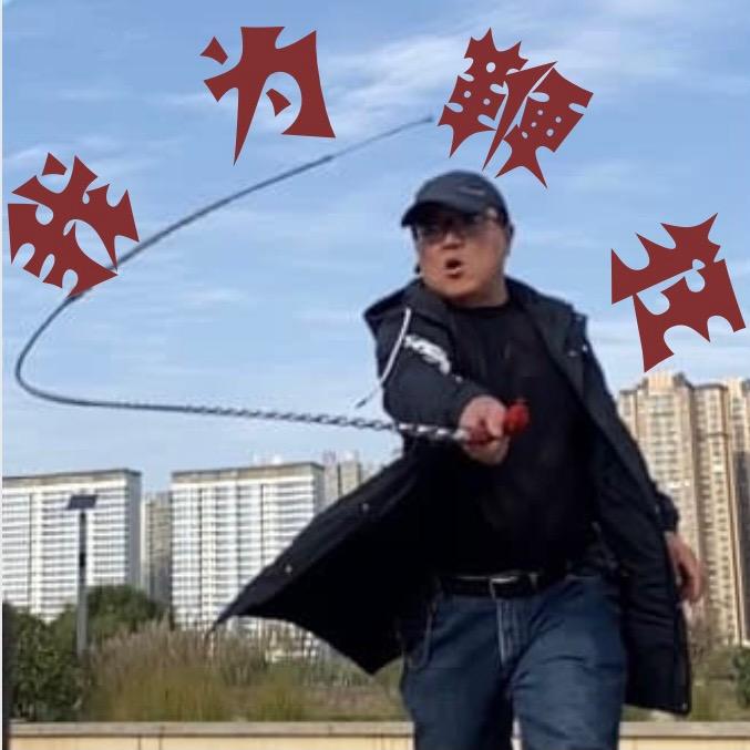 我为鞭狂