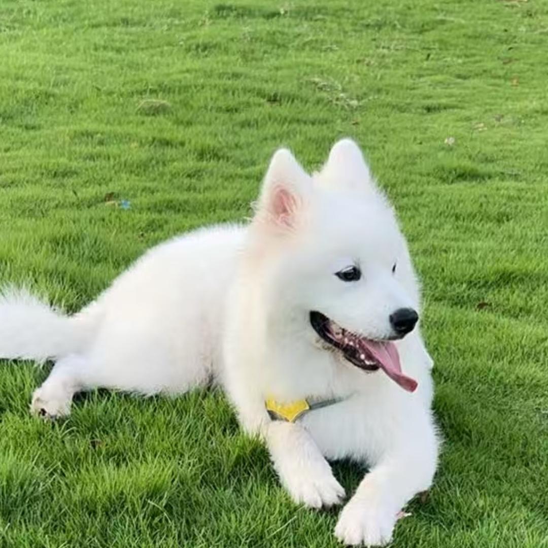 天蝎座👻