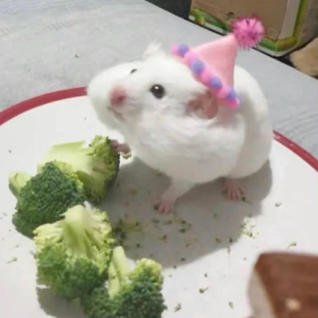 29(随机续火花版