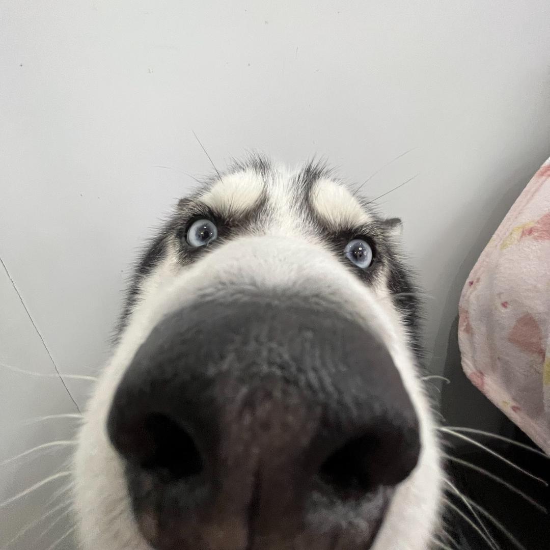 -3