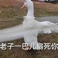 苦味比巴卜