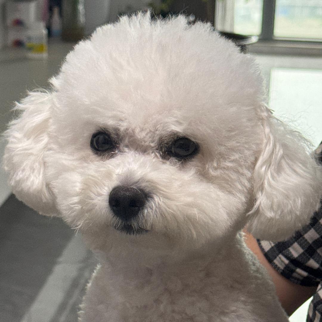 旺旺仙贝🧚🏻‍♀️