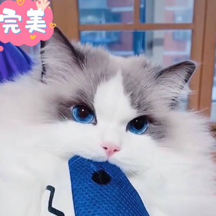 额滴神呀