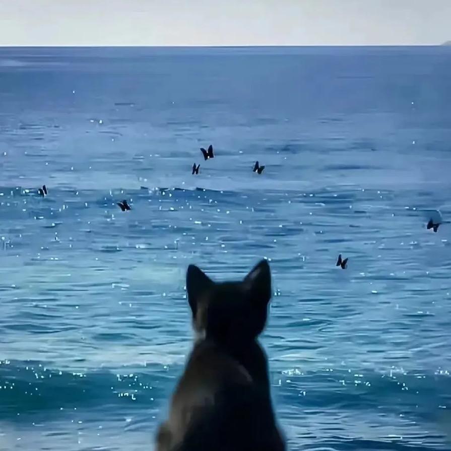 炁体源流