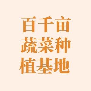 百千亩蔬菜种植基地