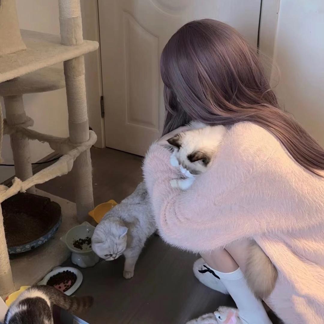 ㅤㅤㅤ  ㅤ秧秧🧸✨