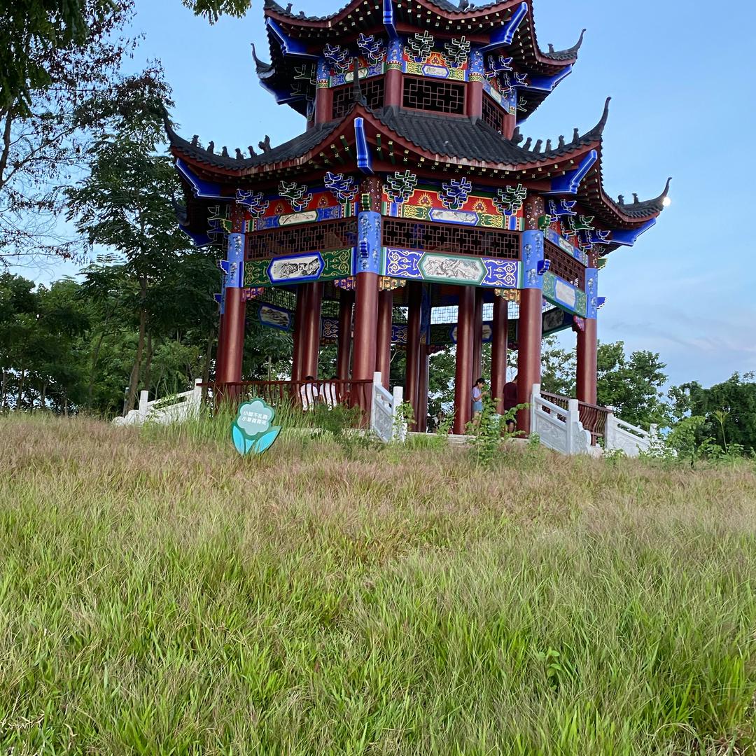 土豆翡翠
