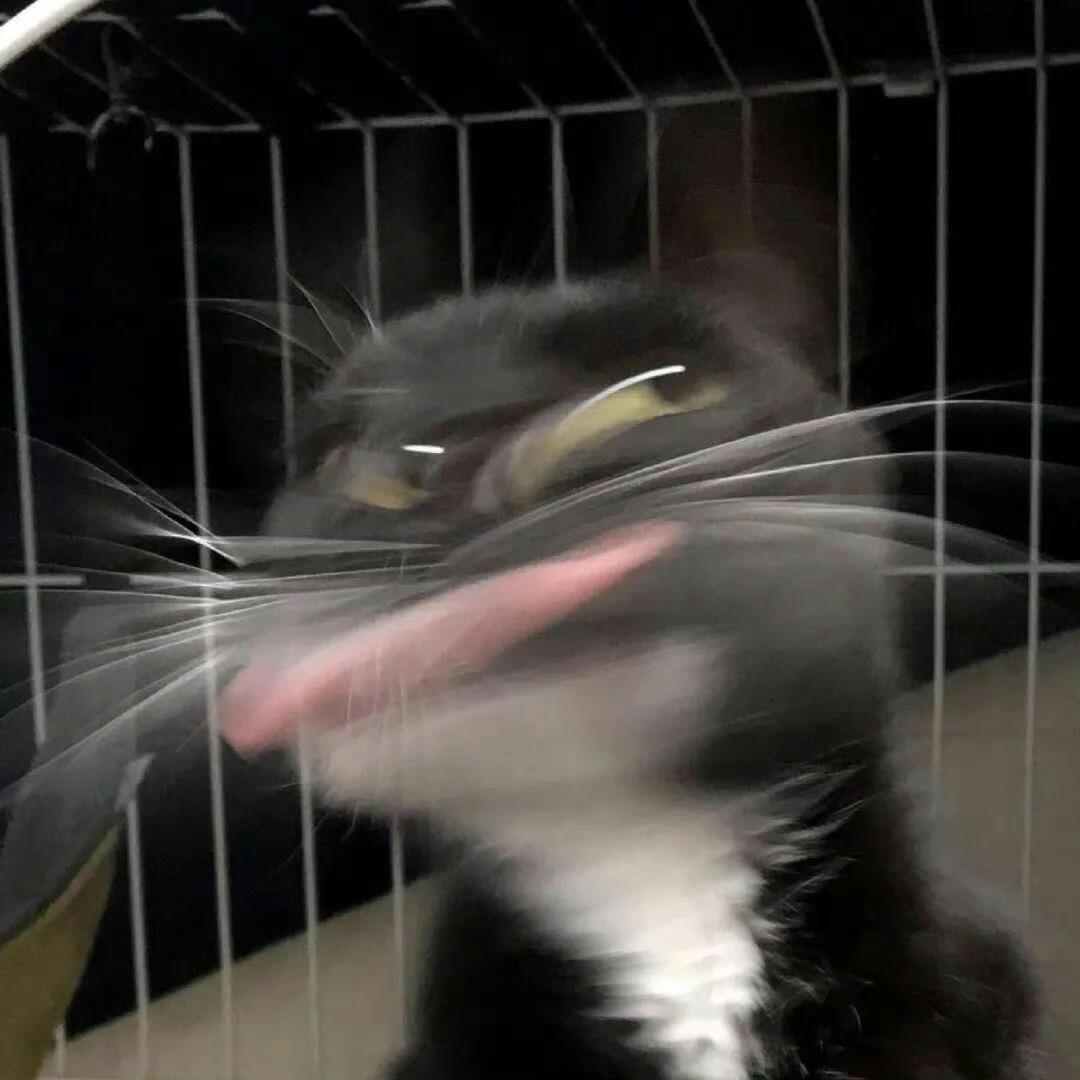 今也在
