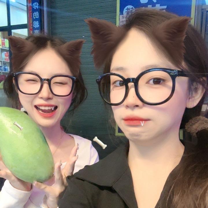 双胞胎创业日记