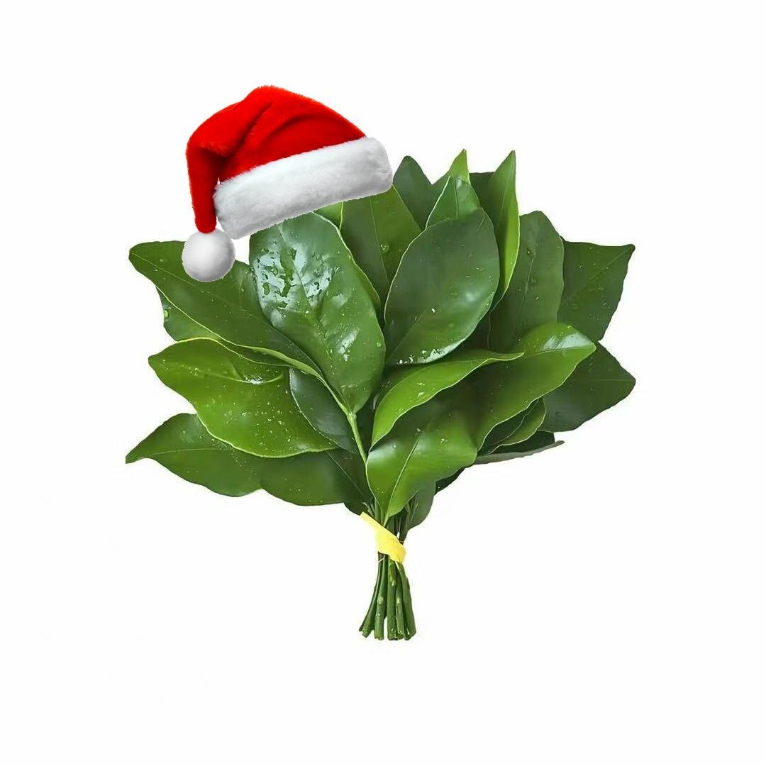 香菜大王（回c版）