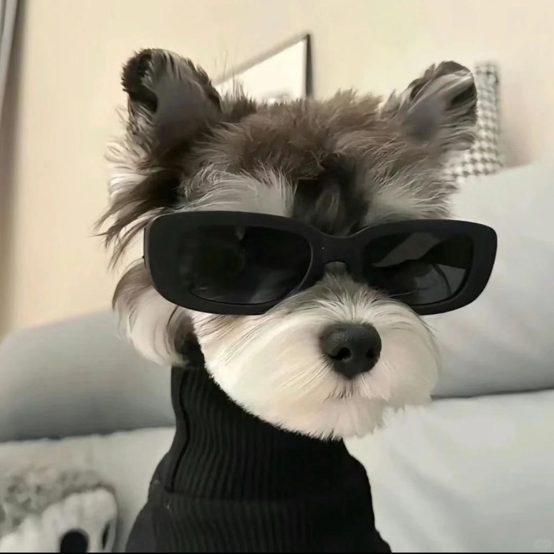 幼稚园小霸王😎