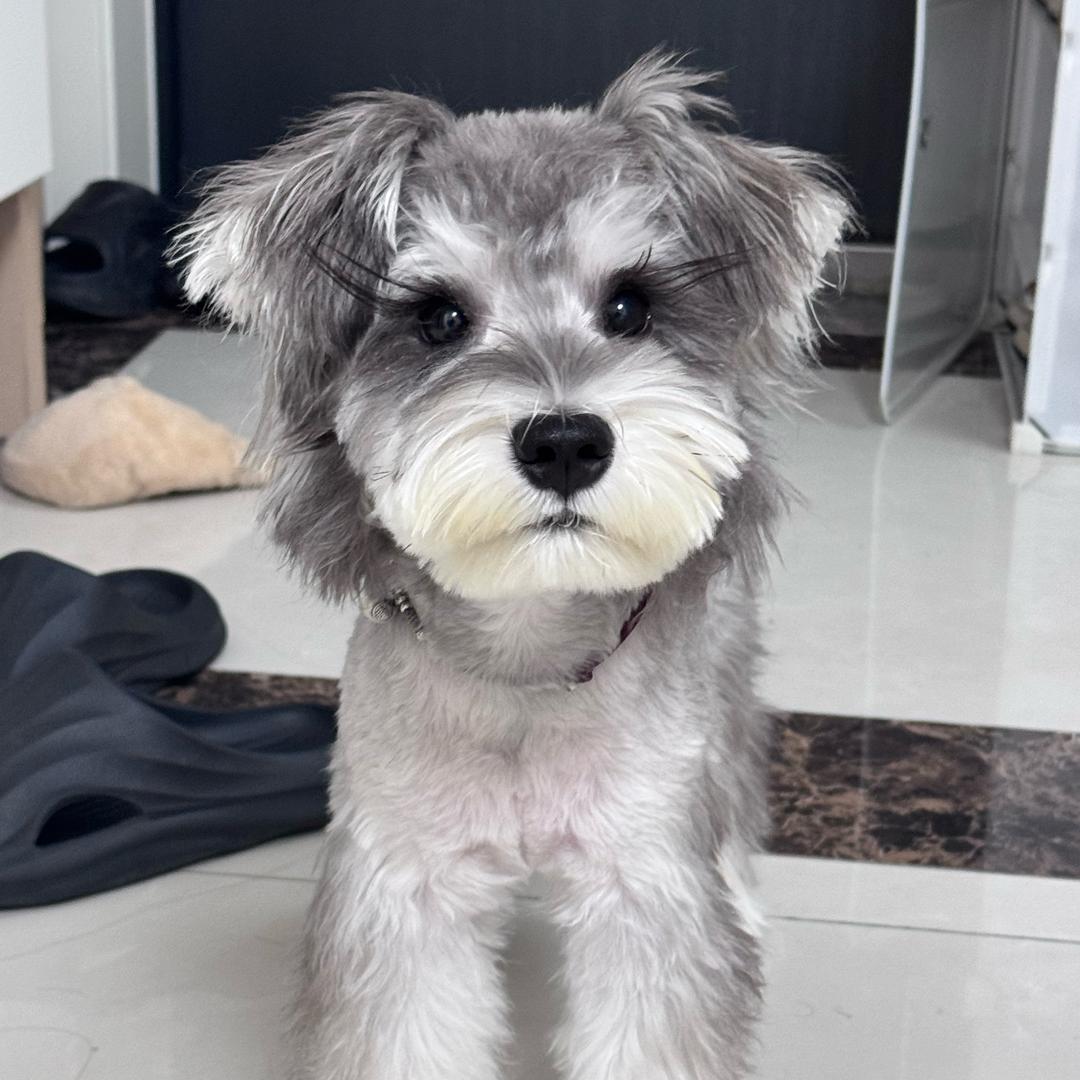 小兔子乖