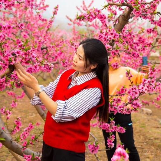 辉县小蜜蜂找好房