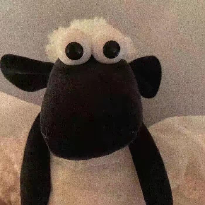 DDD