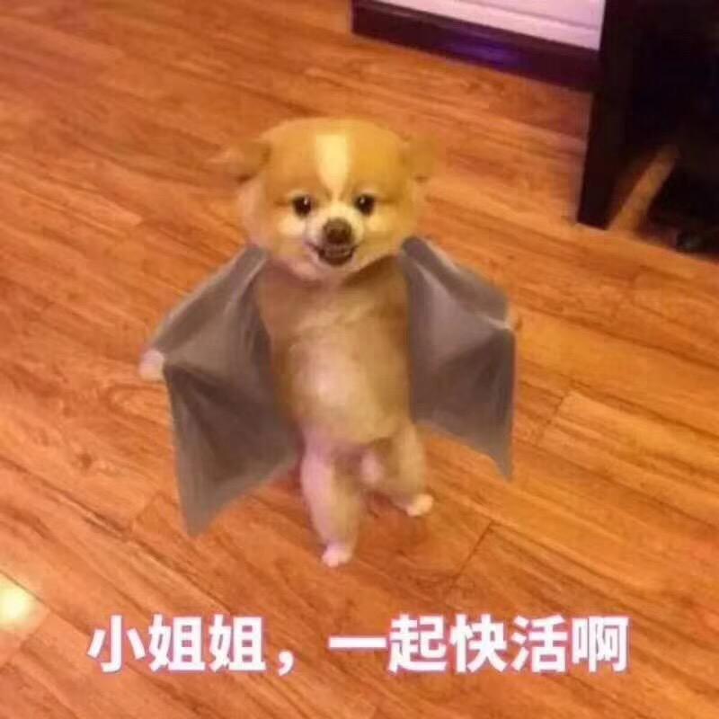 ـ٨ـﮩﮩ٨ـ♡ﮩ٨ـﮩﮩ٨