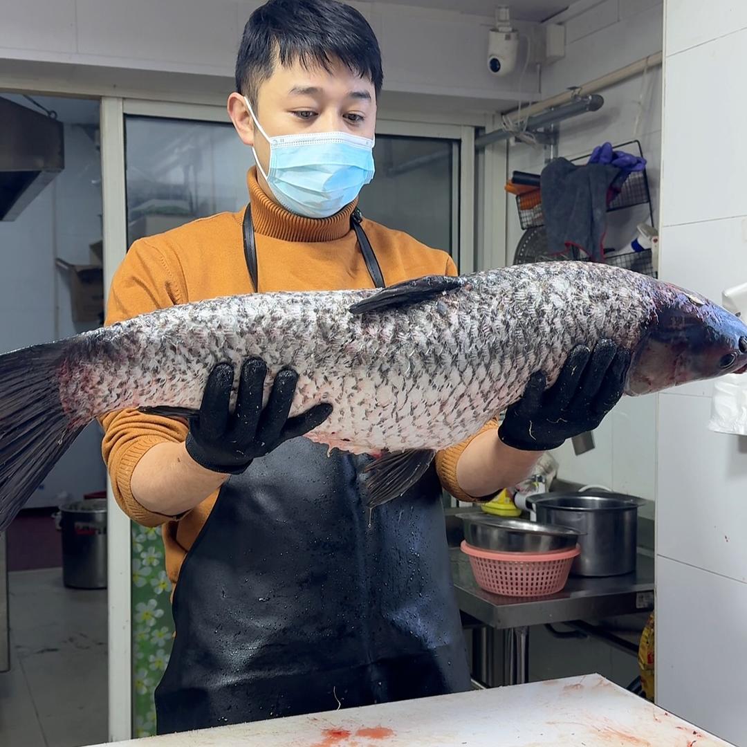 鱼丸哥
