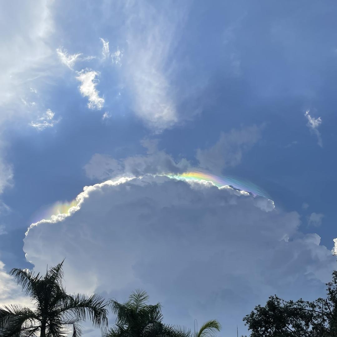 罗定兴曼窗帘馆