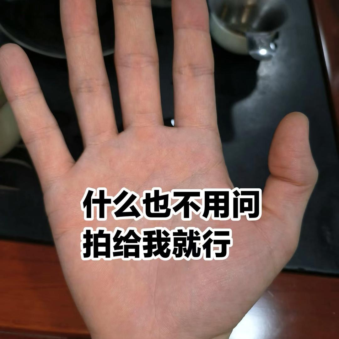观掌先生