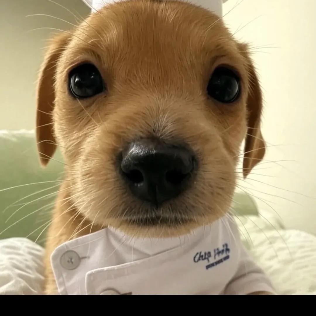 衣二三