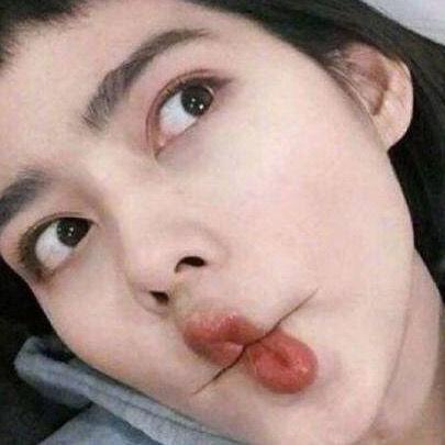 考拉