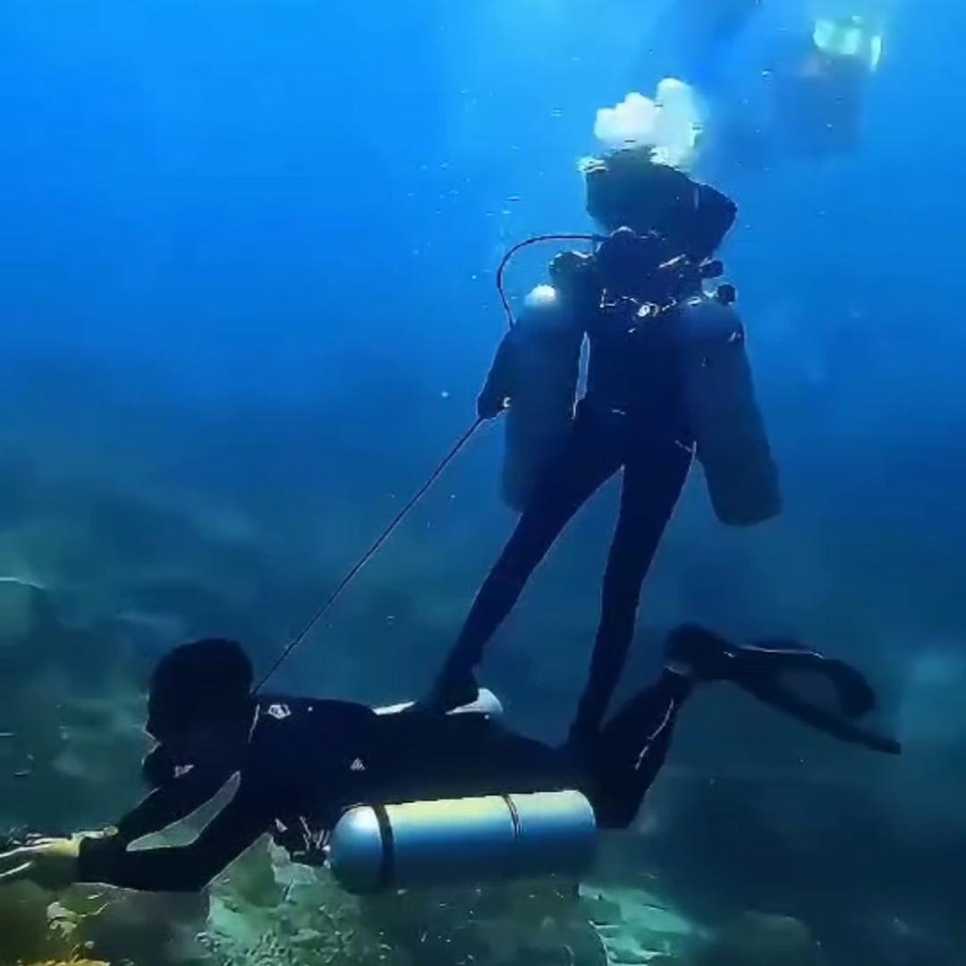 不一样的海洋