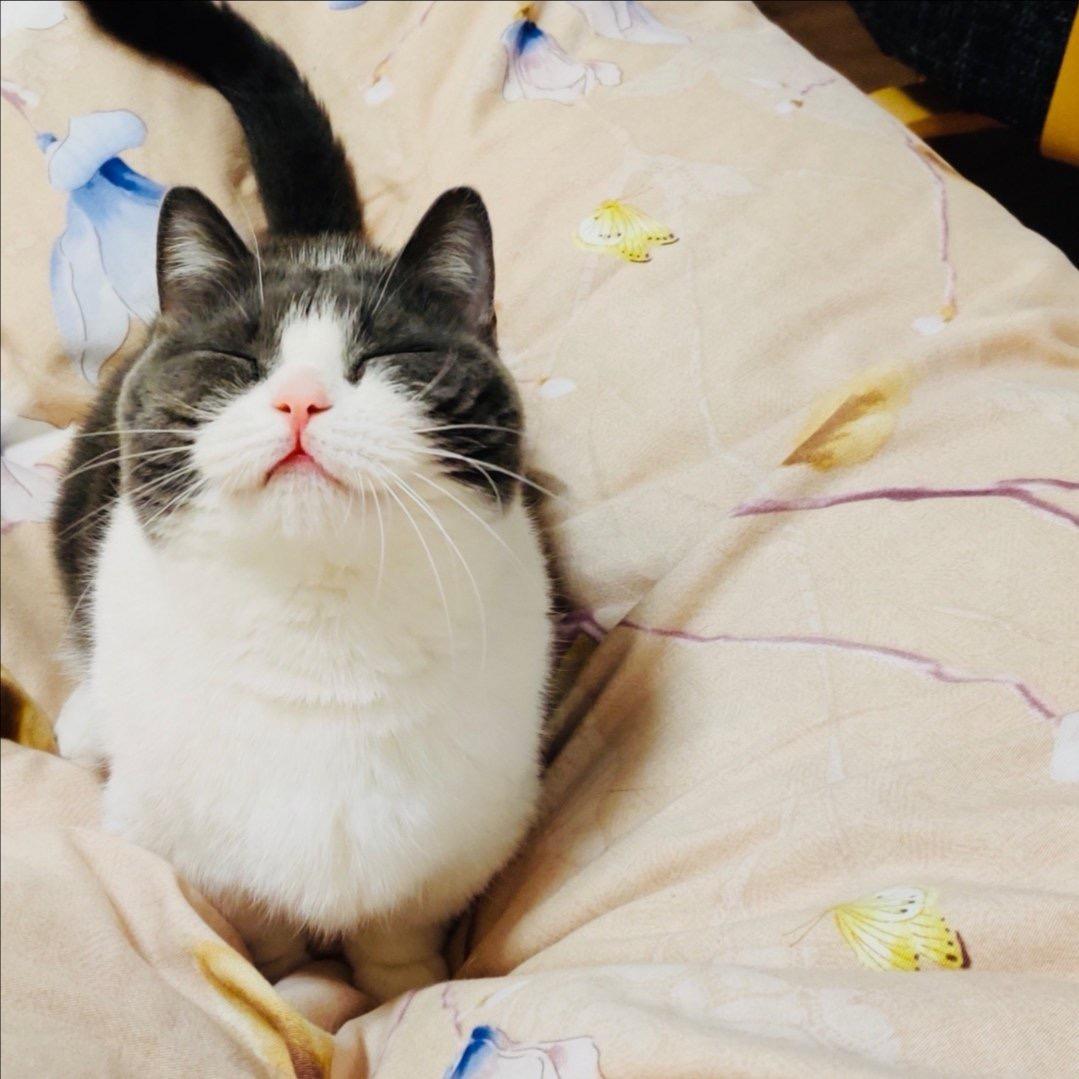 喵小姐衣橱（批发零售女装）