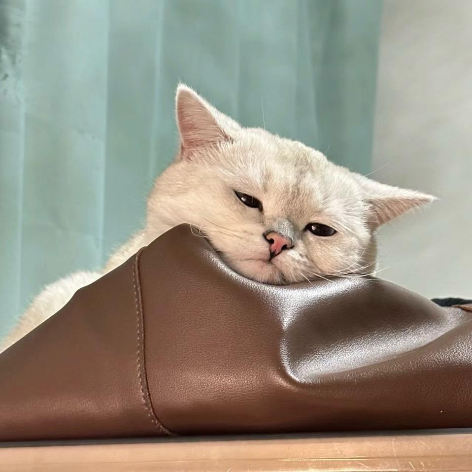 南沐