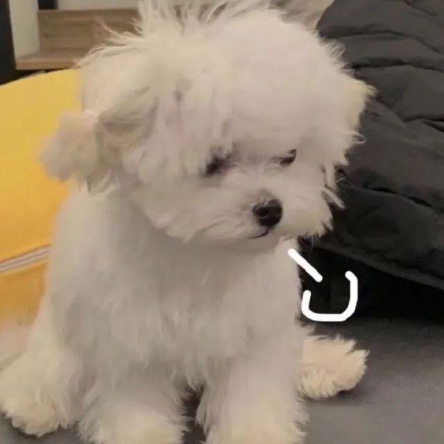 好想吃火锅