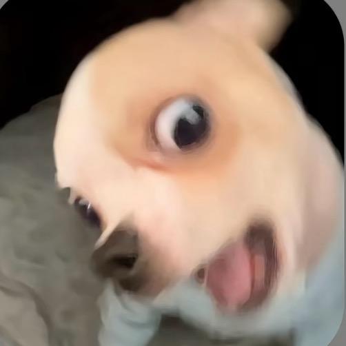 涛