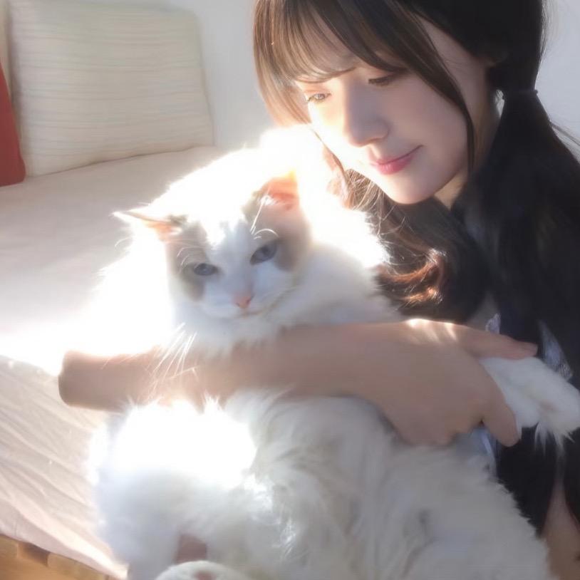 i秋