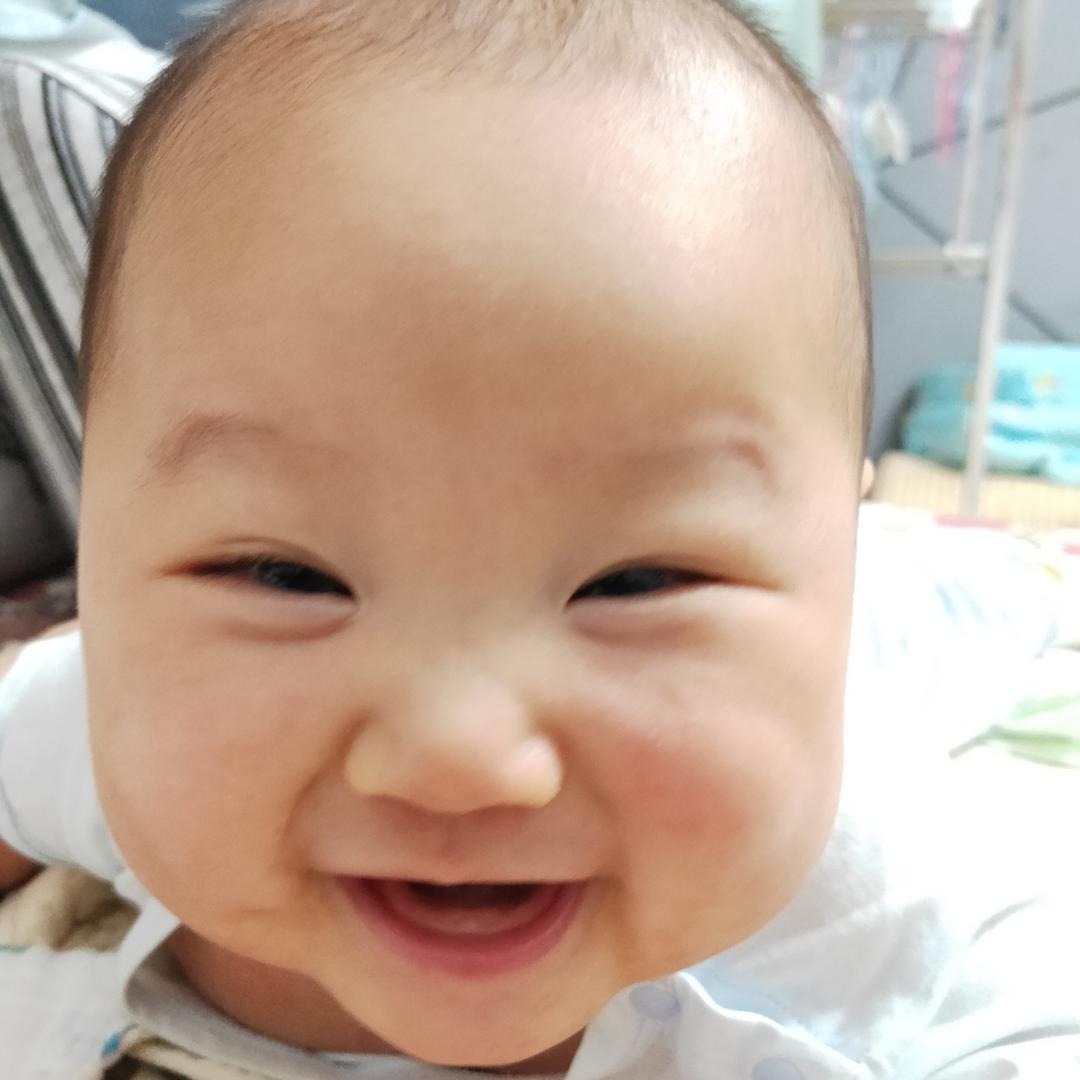 小灰灰好吃草