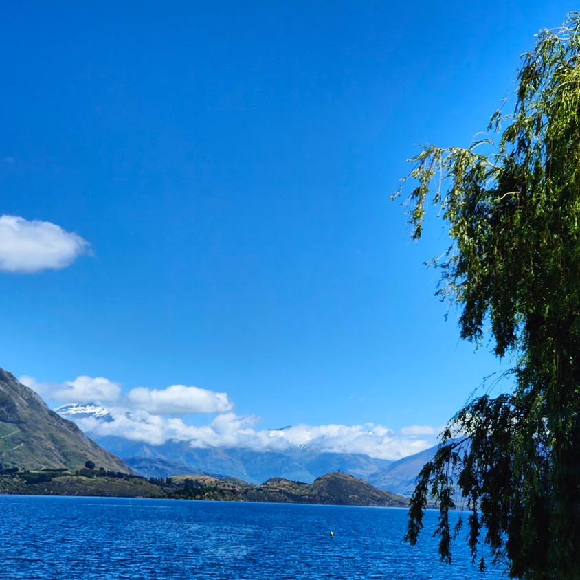 大山爱钓鱼【畔钓】