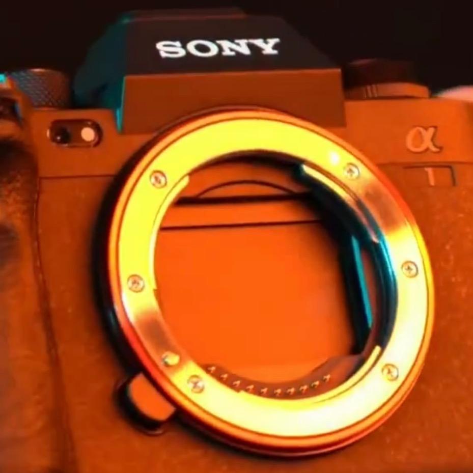 好玩的事情太多了了