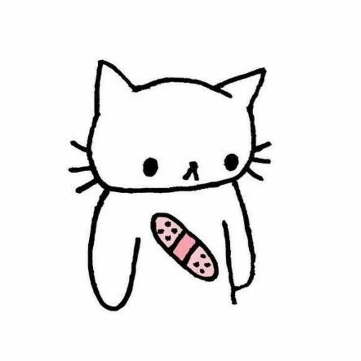 心碎猫猫