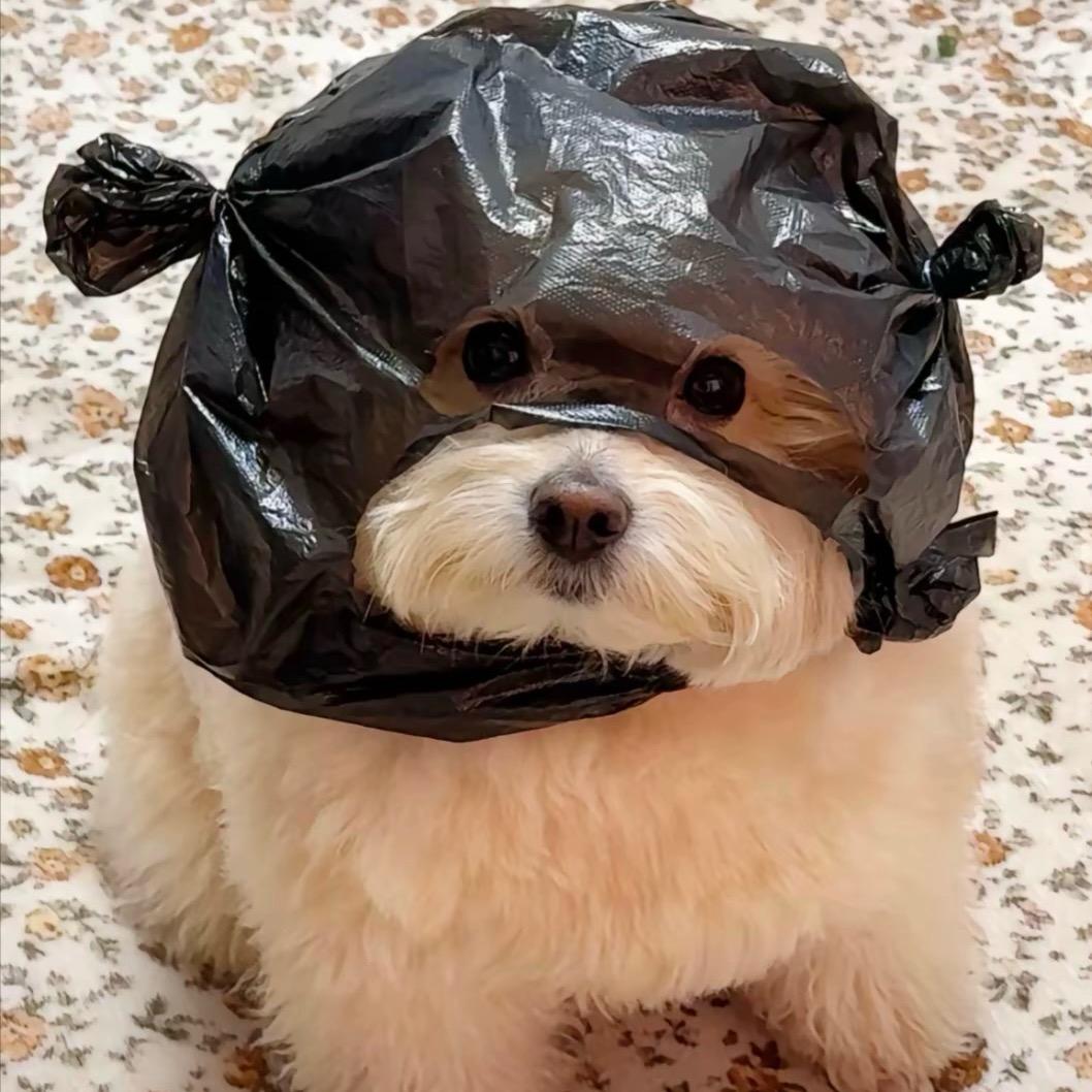 康不住了。