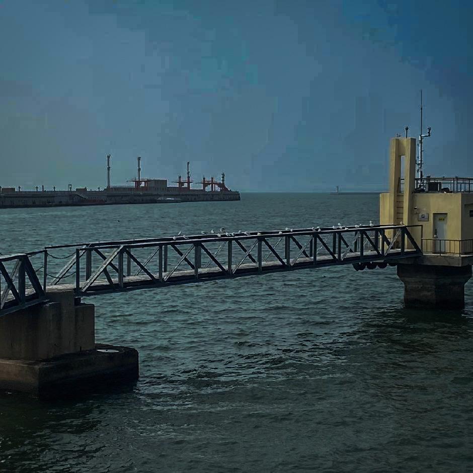 ☀️☀️☀️☀️