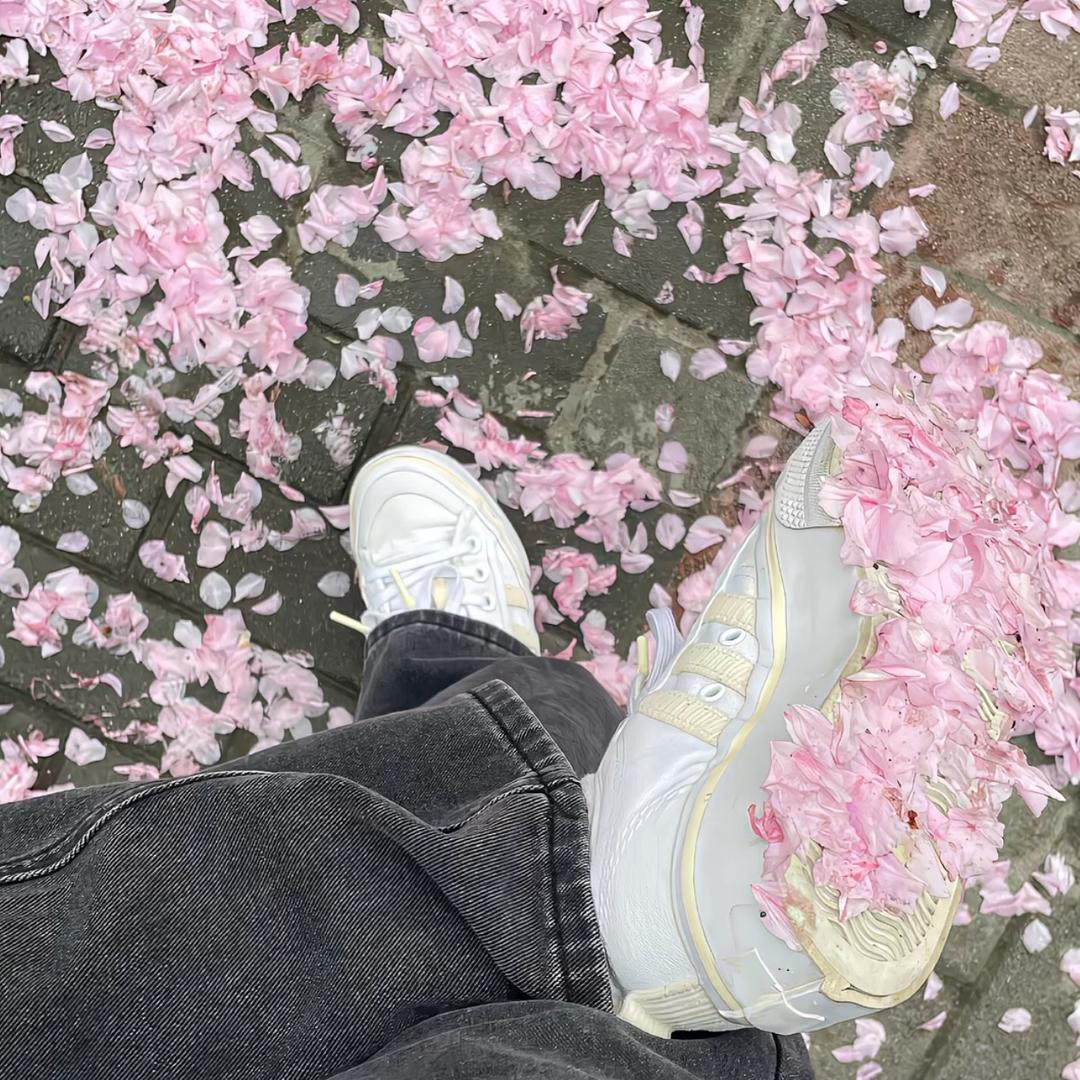 ࿐ 袁༜ 伟斌👑 ༒