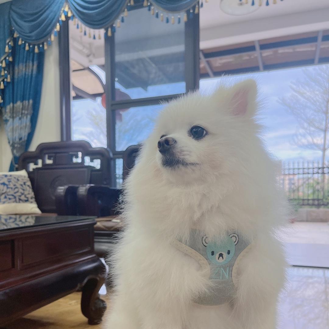 月亮关灯   ㅤ
