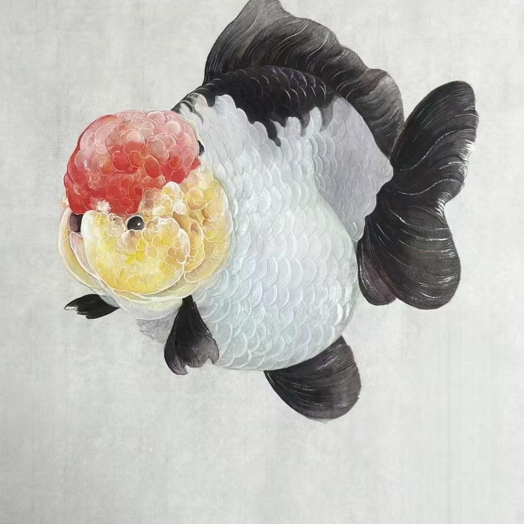 灵宝金鱼