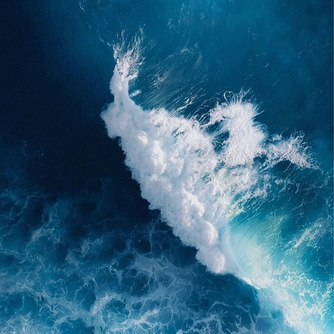 一个啊呜